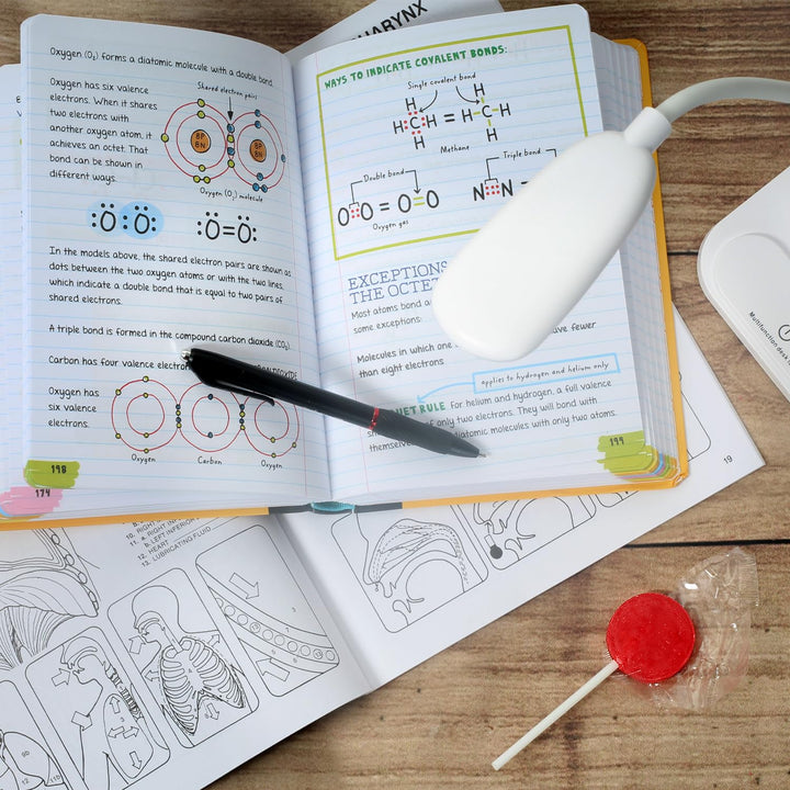 A Great Surprise Classic Lollipops - 3 Pounds - Halloween Lollipops - Trick or Treat Individually Wrapped Candies - Flat Round Bulk Suckers For Kids, Doctors Office, Schools, Banks